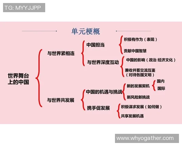 中国足球明星数量及其在国际舞台上的影响力分析与探讨