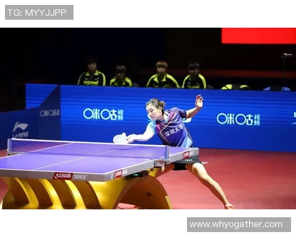 南京羽毛球队整体压制打法深度解析与战术优势剖析 南京羽毛球队整体压制打法深度解析与战术优势剖析