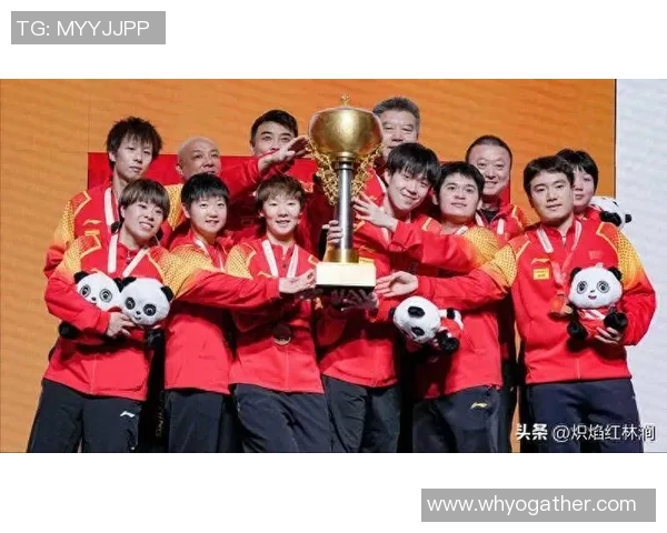 成都乒乓球队灵活性排名创新高展现卓越实力与团队合作精神