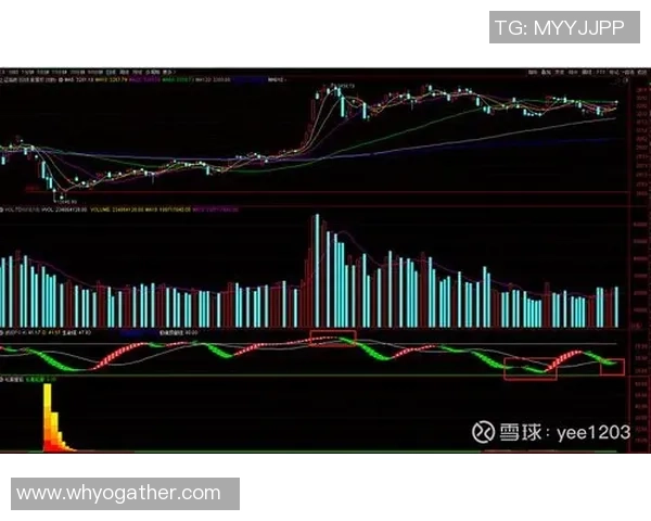 杭州篮球队与上海篮球队赛后状态分析与复盘总结