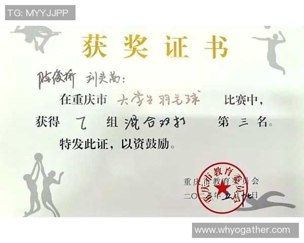 西安羽毛球队在联赛中的意识表现分析与总结 西安羽毛球队在联赛中的意识表现分析与总结