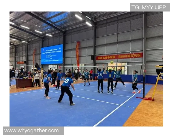 成都排球队在全国排球灵活性排行榜中荣获第九名展现出色竞技实力与团队协作