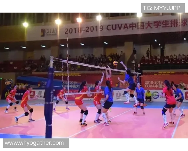 杭州排球队的控制革新探索与实践全景分析 杭州排球队的控制革新探索与实践全景分析