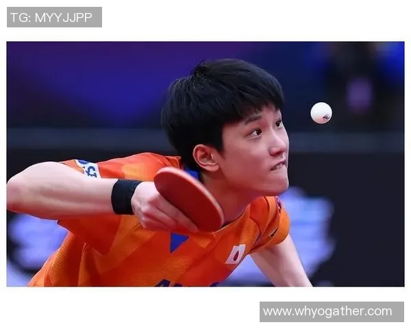 西安乒乓球队包夹战术的优势与不足分析