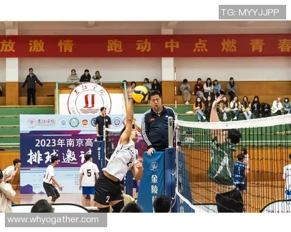 重庆排球队的奋斗历程与世界锦标赛的辉煌成就揭秘 重庆排球队的奋斗历程与世界锦标赛的辉煌成就揭秘