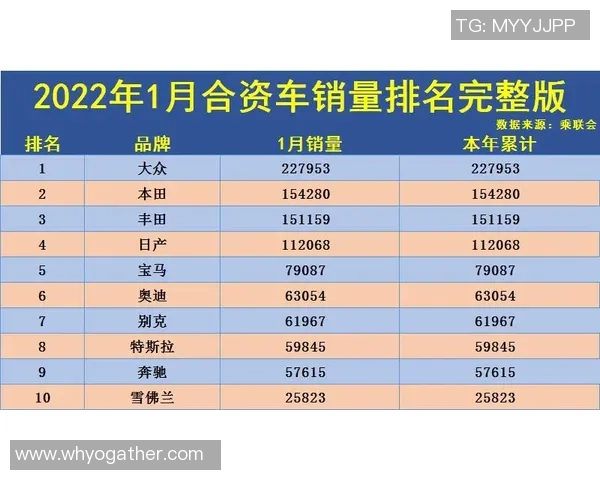 深圳排球队在洲际杯积分榜中以50分稳居第一名表现出色 深圳排球队在洲际杯积分榜中以50分稳居第一名表现出色