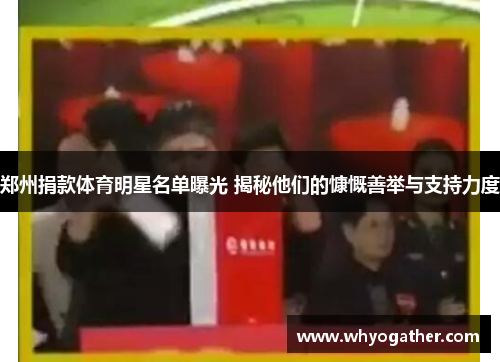 郑州捐款体育明星名单曝光 揭秘他们的慷慨善举与支持力度