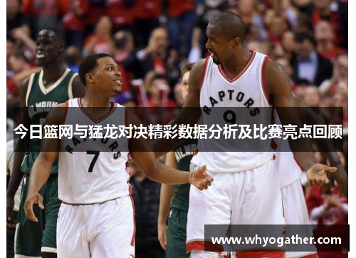 今日篮网与猛龙对决精彩数据分析及比赛亮点回顾