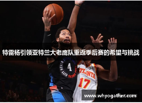 特雷杨引领亚特兰大老鹰队重返季后赛的希望与挑战