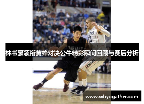 林书豪领衔黄蜂对决公牛精彩瞬间回顾与赛后分析